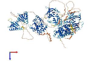 AlphaFold protein structure predicition of Human Recombinant ARAP1 Protein, UniprotID Q96P48