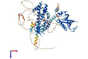 AlphaFold protein structure predicition of Human Recombinant SPATA13 Protein, UniprotID Q96N96
