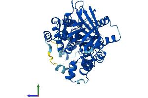AlphaFold protein structure predicition of Human Recombinant PPOX Protein, UniprotID P50336