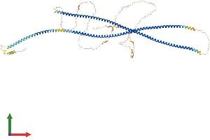 AlphaFold protein structure predicition of Human Recombinant CTAGE15 Protein, UniprotID A4D2H0