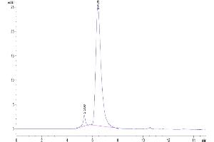 The purity of Cynomolgus BCMA is greater than 95 % as determined by SEC-HPLC.