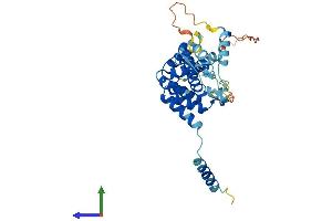 AlphaFold protein structure predicition of Mouse Recombinant Tada1 Protein, UniprotID Q99LM9