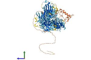 AlphaFold protein structure predicition of Mouse Recombinant Nlrp1b Protein, UniprotID Q2LKV5