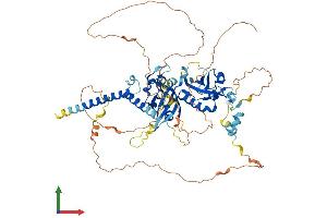 AlphaFold protein structure predicition of Mouse Recombinant Hif3a Protein, UniprotID Q0VBL6