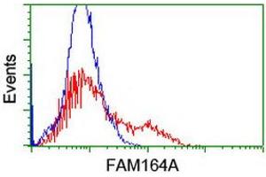 Image no. 1 for anti-Family with Sequence Similarity 164, Member A (FAM164A) antibody (ABIN1498199) (FAM164A anticorps)