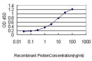 Detection limit for recombinant GST tagged FAM84A is approximately 0. (FAM84A anticorps  (AA 1-292))