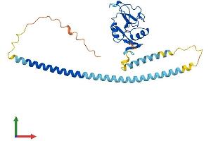 AlphaFold protein structure predicition of Human Recombinant CLEC10A Protein, UniprotID Q8IUN9