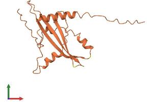 AlphaFold protein structure predicition of Human Recombinant LINC01551 Protein, UniprotID Q86U37