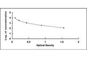 ELISA image for Endothelin Converting Enzyme 2 (ECE2) ELISA Kit (ABIN2014315)