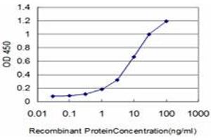Detection limit for recombinant GST tagged KLF6 is approximately 0.