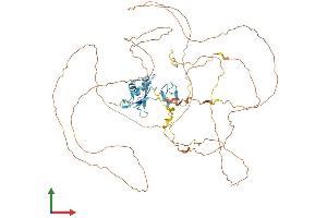 AlphaFold protein structure predicition of Mouse Recombinant Ewsr1 Protein, UniprotID Q61545