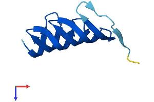 AlphaFold protein structure predicition of Human Recombinant MORN2 Protein, UniprotID Q502X0