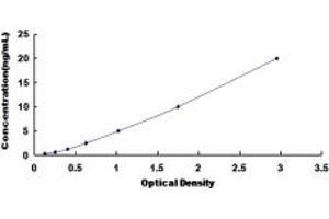 Typical standard curve (BIRC6 Kit ELISA)