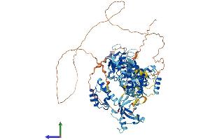 AlphaFold protein structure predicition of Human Recombinant SFMBT1 Protein, UniprotID Q9UHJ3
