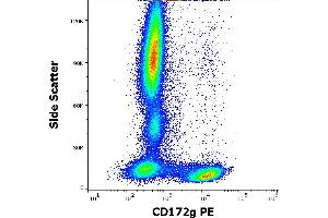 Flow cytometry surface staining pattern of human peripheral whole blood stained using anti-human CD172g (OX-119) PE antibody (10 μL reagent / 100 μL of peripheral whole blood). (SIRPG anticorps  (PE))