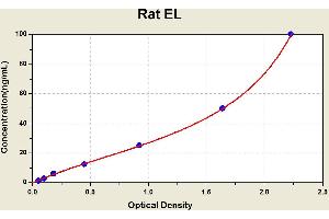 Diagramm of the ELISA kit to detect Rat ELwith the optical density on the x-axis and the concentration on the y-axis. (LIPG Kit ELISA)