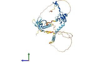 AlphaFold protein structure predicition of Human Recombinant RING1 Protein, UniprotID Q06587
