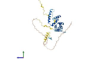 AlphaFold protein structure predicition of Human Recombinant FBXO16 Protein, UniprotID Q8IX29