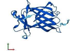 AlphaFold protein structure predicition of Mouse Recombinant Cnrip1 Protein, UniprotID Q5M8N0