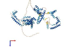 AlphaFold protein structure predicition of Human Recombinant UBTF Protein, UniprotID P17480