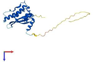 AlphaFold protein structure predicition of Human Recombinant SNX10 Protein, UniprotID Q9Y5X0