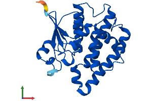 AlphaFold protein structure predicition of Human Recombinant GSTZ1 Protein, UniprotID O43708