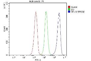 Flow Cytometry analysis of JK cells using anti-RPL10 antibody (ABIN7601177).