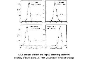 Image no. 5 for anti-Scavenger Receptor Class B, Member 1 (SCARB1) (AA 450-509), (C-Term) antibody (ABIN363399)