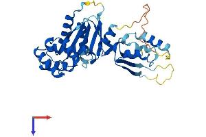 AlphaFold protein structure predicition of Human Recombinant CENPN Protein, UniprotID Q96H22