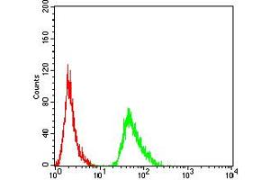 Flow cytometric analysis of MCF-7 cells using AMY1A mouse mAb (green) and negative control (red).