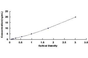Typical standard curve (JNK2 Kit ELISA)