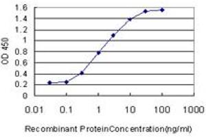 Detection limit for recombinant GST tagged USF1 is approximately 0. (USF1 anticorps  (AA 1-110))