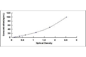 Typical standard curve