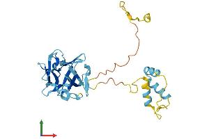 AlphaFold protein structure predicition of Human Recombinant FRG1 Protein, UniprotID Q14331