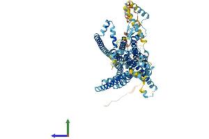 AlphaFold protein structure predicition of Human Recombinant TMC7 Protein, UniprotID Q7Z402