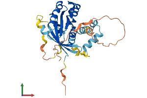 AlphaFold protein structure predicition of Mouse Recombinant Rab40b Protein, UniprotID Q8VHP8