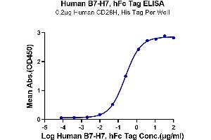 Immobilized Human CD28H, His Tag at 2 μg/mL (100 μL/well) on the plate. (HHLA2 Protein (AA 23-344) (Fc Tag))