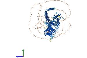 AlphaFold protein structure predicition of Human Recombinant ASAP3 Protein, UniprotID Q8TDY4