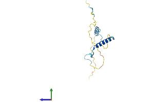 AlphaFold protein structure predicition of Human Recombinant PCP2 Protein, UniprotID Q8IVA1