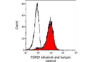 Flow Cytometry (FACS) image for anti-Forkhead Box Q1 (FOXQ1) (AA 353-403) antibody (ABIN7455177) (Recombinant FOXQ1 anticorps  (AA 353-403))