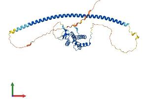 AlphaFold protein structure predicition of Human Recombinant RAB3IL1 Protein, UniprotID Q8TBN0
