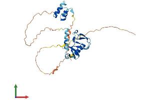 AlphaFold protein structure predicition of Human Recombinant DPPA2 Protein, UniprotID Q7Z7J5