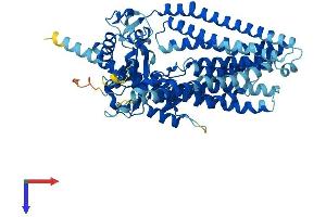 AlphaFold protein structure predicition of Mouse Recombinant Ano10 Protein, UniprotID Q8BH79