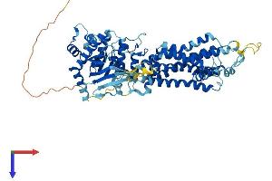 AlphaFold protein structure predicition of Mouse Recombinant Abcg5 Protein, UniprotID Q99PE8
