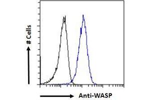 ABIN185368 Flow cytometric analysis of paraformaldehyde fixed HepG2 cells (blue line), permeabilized with 0.