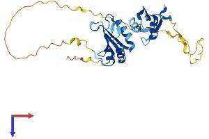 AlphaFold protein structure predicition of Mouse Recombinant Snrpa Protein, UniprotID Q62189