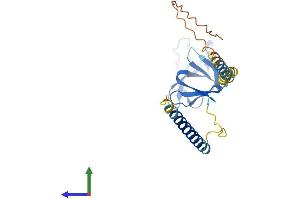 AlphaFold protein structure predicition of Human Recombinant MIS18A Protein, UniprotID Q9NYP9