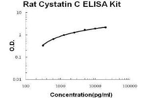 Rat Cystatin C PicoKine ELISA Kit standard curve (CST3 Kit ELISA)