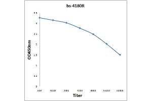 Antigen: 2 µg/100 µL  Primary: Antiserum, 1:500, 1:1000, 1:2000, 1:4000, 1:8000, 1:16000, 1:32000;  Secondary: HRP conjugated Rabbit Anti-Goat IgG at 1: 5000;  TMB staining Read the data in Microplate Reader by 450nm.