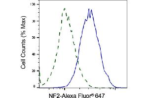 Validation of NF2 knockdown using flow cytometry. (Recombinant Merlin anticorps)